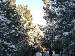 -千佛山风景名胜区