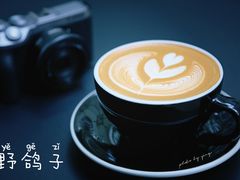 -野鸽子咖啡(中航店)