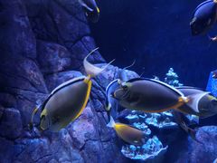 -成都浩海立方海洋公园