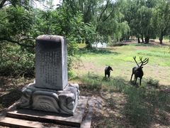 -北京麋鹿生态实验中心