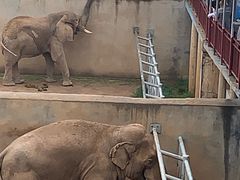 -西霞口神雕山野生动物世界