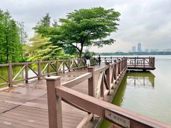 -海珠湖公园