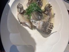 -三利音·东方司宴(外滩店)