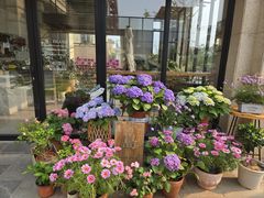 -红燕阁·中餐厅·粤式早茶·海南特色菜(红燕堂酒店)