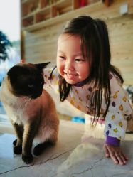 -萌宠亲子动物乐园(槐房万达店)