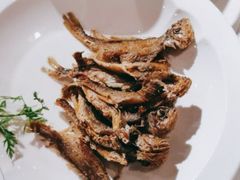 -大鸭梨烤鸭店(光彩店)