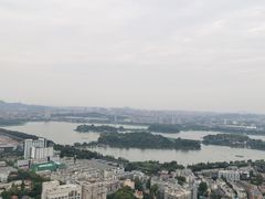 -紫峰大厦