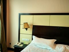 -维也纳国际酒店(深圳新洲店)