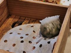 -鹅公村·国家非遗传承(荔湾店)