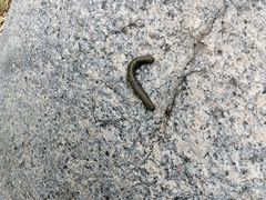 -碓臼峪自然风景区