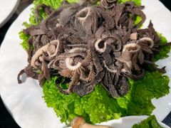 -常赢三兄弟·清真涮肉·清真炒菜(朝阳新城店)