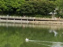 -广州市帽峰山景区