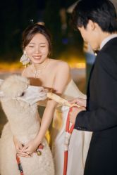 点击看大图 -花漾摄影优选工作室(东莞原创作品店)