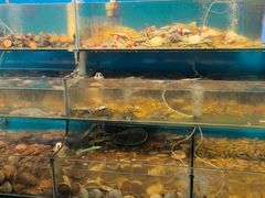 -仙螺岛海鲜自助餐厅(总店)