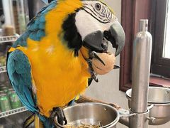 -观桥阁(锦溪店)