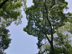 -徐家汇源景区-衡山公园