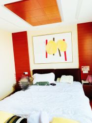 -玥悦母婴月子护理中心玥悦喜喜馆