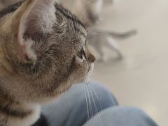 -共舞时光猫咖·狗咖(新街口店)