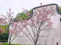 -乌山风景区