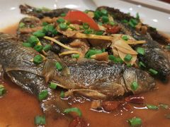 -鹭岛新泉客家菜·海鲜·融合菜(莲前店)
