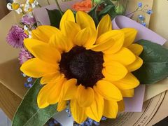 -循礼门鲜花花市(武汉循礼门店)