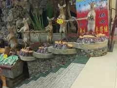 景观位-乔家满族八大碗(流水沟店)