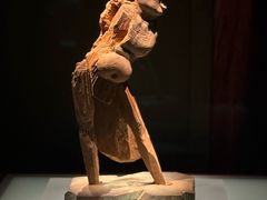 -温州博物馆