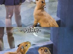 -南昌海洋公园