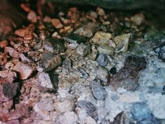 -宁波五龙潭景区