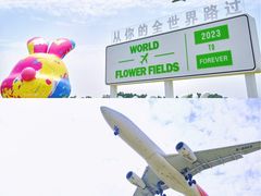 -空港花田景区