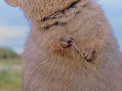 -红小满休闲餐厅(十全街店)