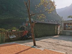 -长寿村