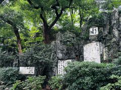 -白沙古井