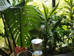 -太守宴·蘭院(天塔店)