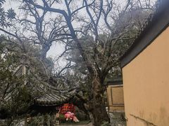 -无锡惠山寺