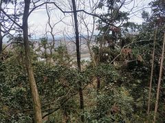 -云碧峰国家森林公园