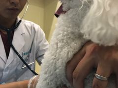 -美迦爱-牙专科·兔科·骨科诊疗中心(北苑店)