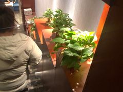 -1号足道推拿会馆