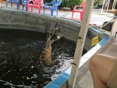 picture-小象钓虾·营地烧烤(洛溪店)