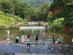 -广州市石门国家森林公园