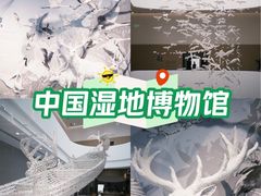 -中国湿地博物馆