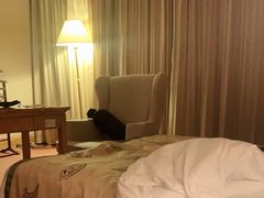 -南京维景国际大酒店(南京博物院店)