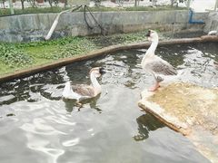 -八景休閒山莊  廣東十大名山莊