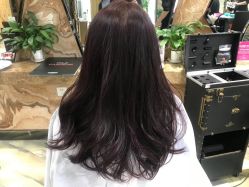 -永琪美容美发全国直营连锁