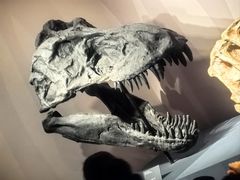 -自贡恐龙博物馆