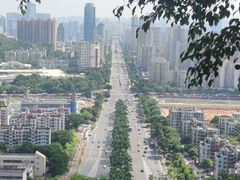 -板樟山森林公园