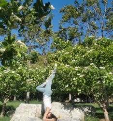 -兰瑜伽·普拉提