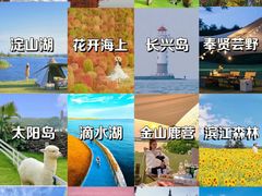 -上海滨江森林公园