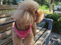 -乐琪宠物(青塔西路店)