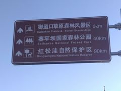 -御道口草原森林风景区